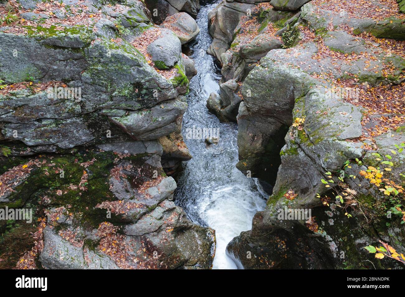 Sculptured Rocks Natural Area in Groton, New Hampshire während der Herbstmonate. Diese Schlucht wurde während der Großen Eiszeit geformt. Stockfoto