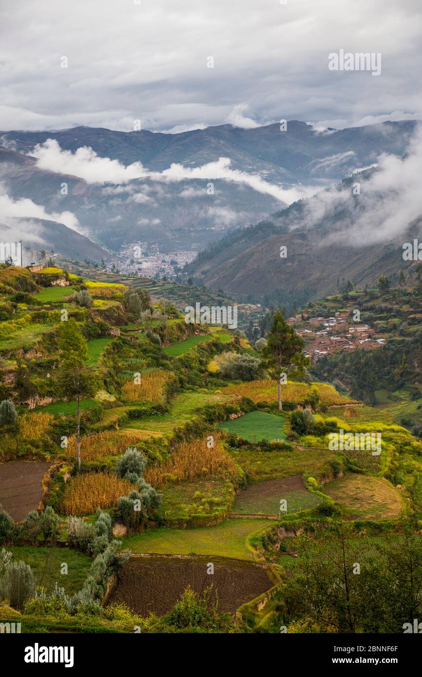 Landwirtschaftlichen Terrassen oben Tarma, Junín, Peru, Südamerika Stockfoto