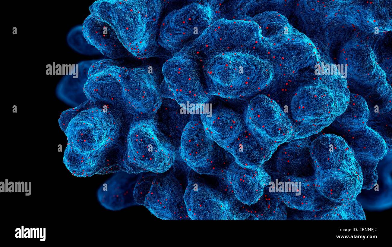 Zelle infiziert mit Virus-Teilchen verursacht einen programmierten Zelltod, 3d-Abbildung. Stockfoto