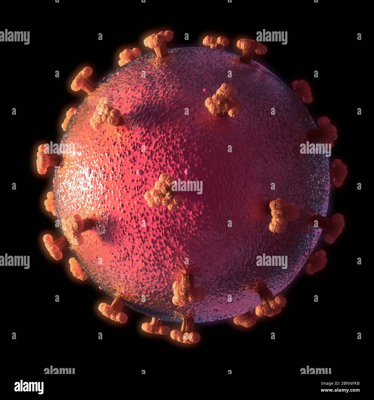Abbildung eines Coronavirus, der Ursache der neuen Krankheit covid-19. Diese Krankheit wurde erstmals im Dezember 2019 in Wuhan, China, entdeckt. Sie ist ansteckend und hat sich seitdem schnell auf der ganzen Welt ausgebreitet. Die Krankheit verursacht Fieber, Husten und Atemnot und kann in einigen Fällen zu einer tödlichen Lungenentzündung führen. SARS-CoV-2 ist ein RNA-Virus, das Proteinspitzen verwendet, um Zugang zu den Wirtszellen zu gewinnen. Stockfoto