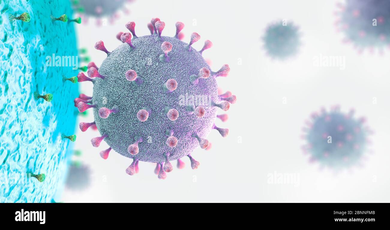 Virus Partikel mit Zelle interagieren, 3d-Abbildung. Stockfoto