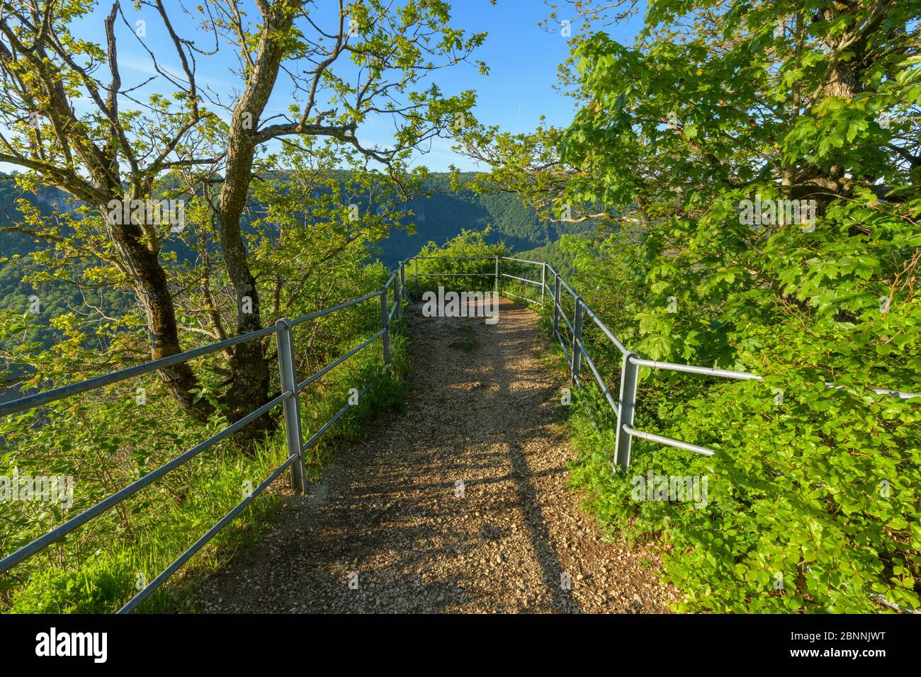 Aussichtspunkt Eichfelsen im Frühling, Oberes Donautal, Beuron, Irndorf, Schwäbische Alb, Baden-Württemberg, Deutschland Stockfoto