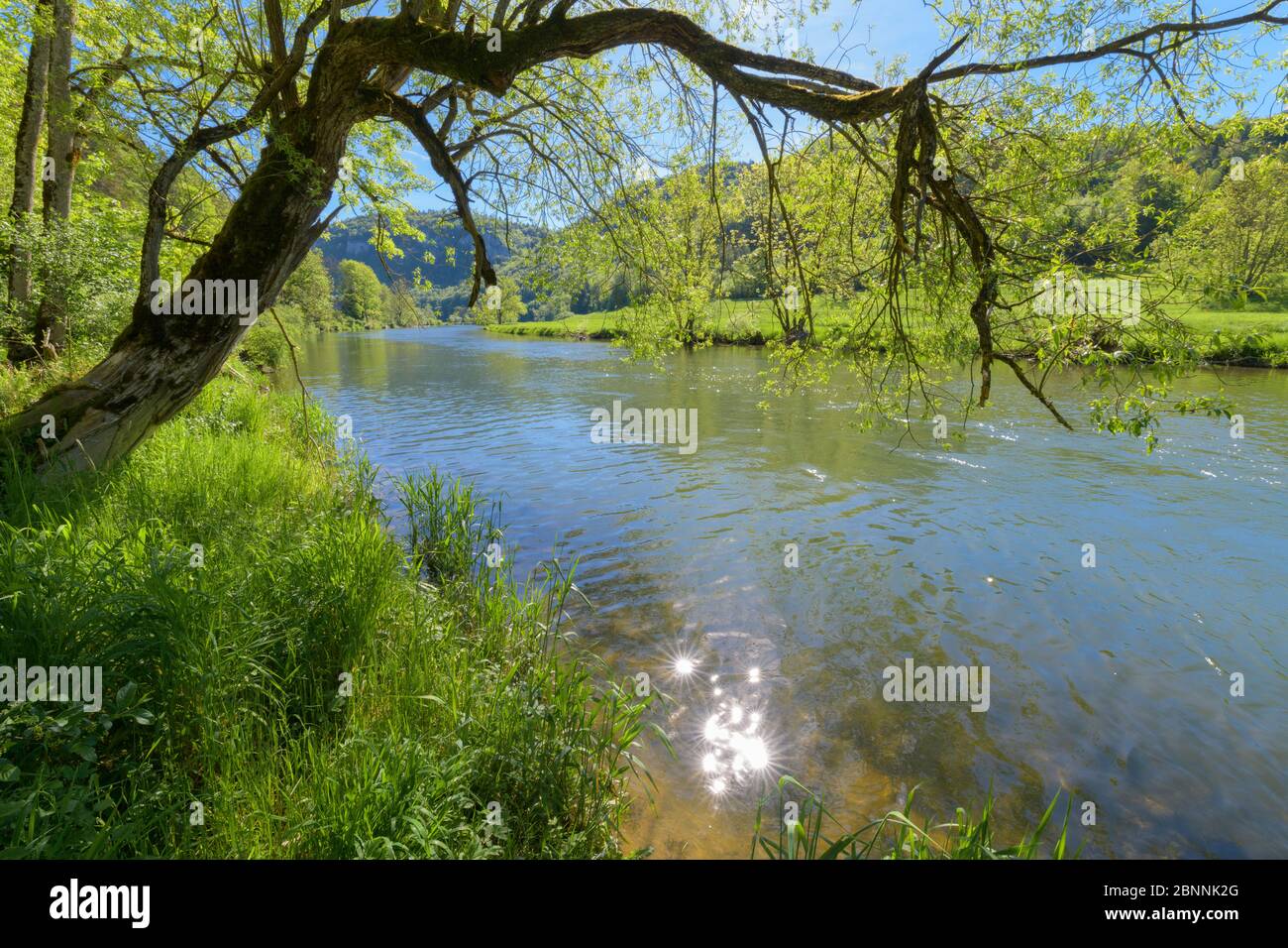 Donau mit Sonne im Frühling, Oberes Donautal, Schwäbische Alb, Schwäbische Alb, Baden-Württemberg, Deutschland Stockfoto