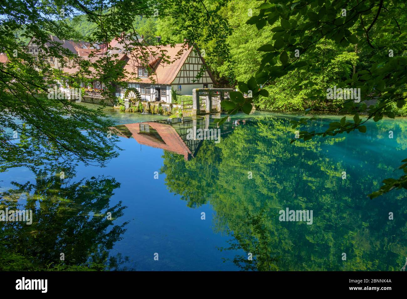 Wasserreiche Quelle des Flusses blau mit Wassermühle, Blautopf, Blaubeuren, Schwäbische Alb, Baden-Württemberg, Deutschland Stockfoto