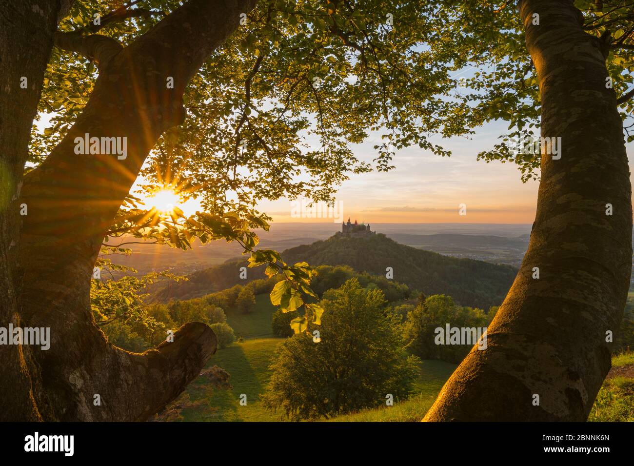 Burg Hohenzollern mit Sonne, Blick vom Zeller Horn, Schwäbische Alb, Schwäbische Alb, Bisingen, Baden-Württemberg, Deutschland Stockfoto