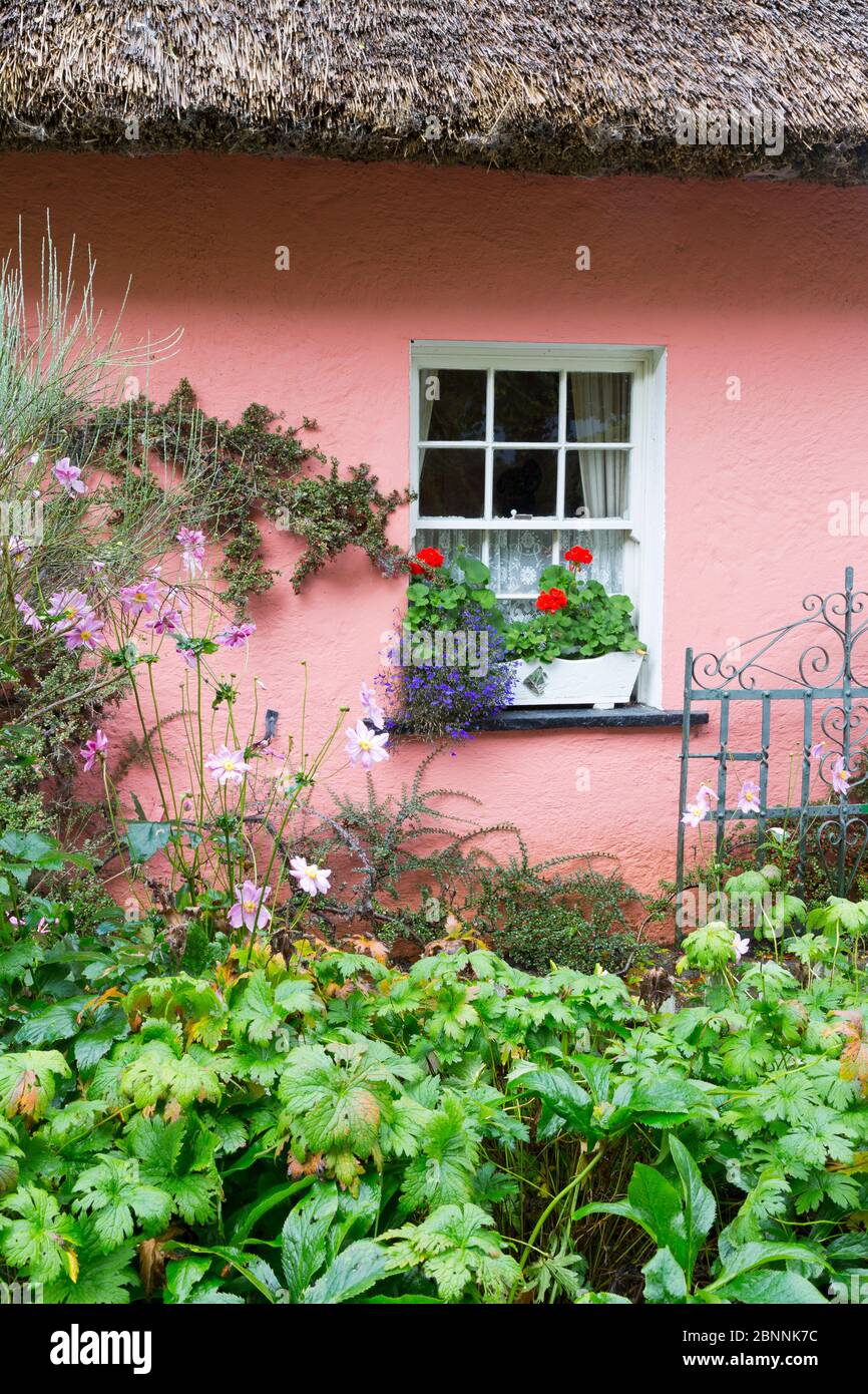 Golden Vale Bauernhaus in Bunratty Castle & Folk Park, County Clare, Irland, Europa Stockfoto