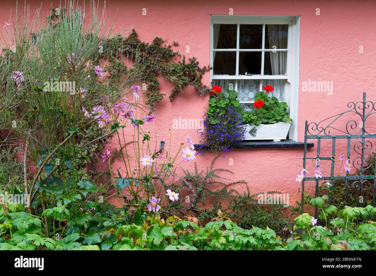 Golden Vale Bauernhaus in Bunratty Castle & Folk Park, County Clare, Irland, Europa Stockfoto