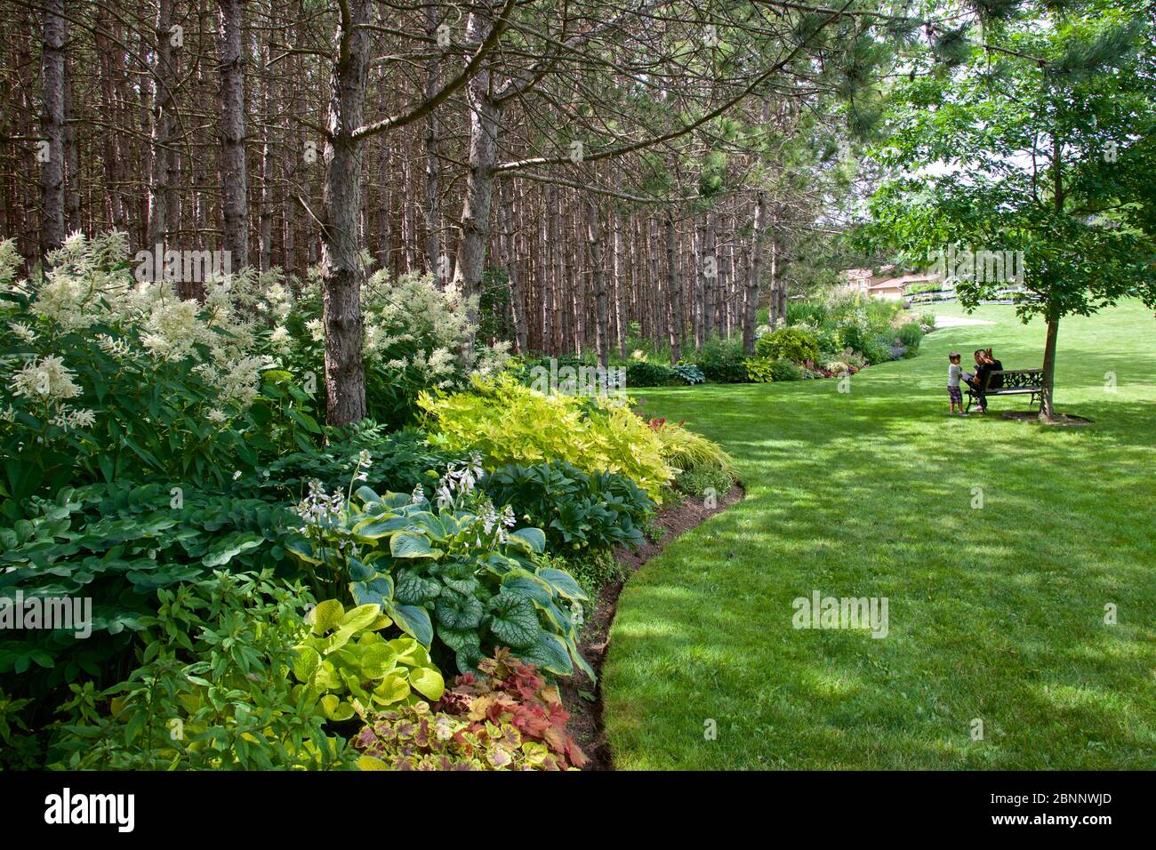 Natürliche Landschaftsgartenlandschaft mit Wald und Parkbank Stockfoto