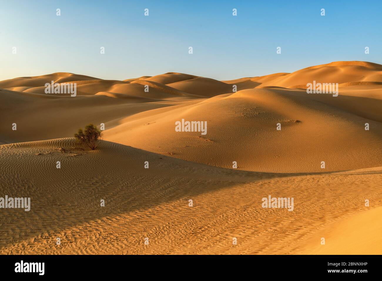 Wüste, Sand, Dünen, Weite, blauer Himmel, Abendstimmung Stockfoto