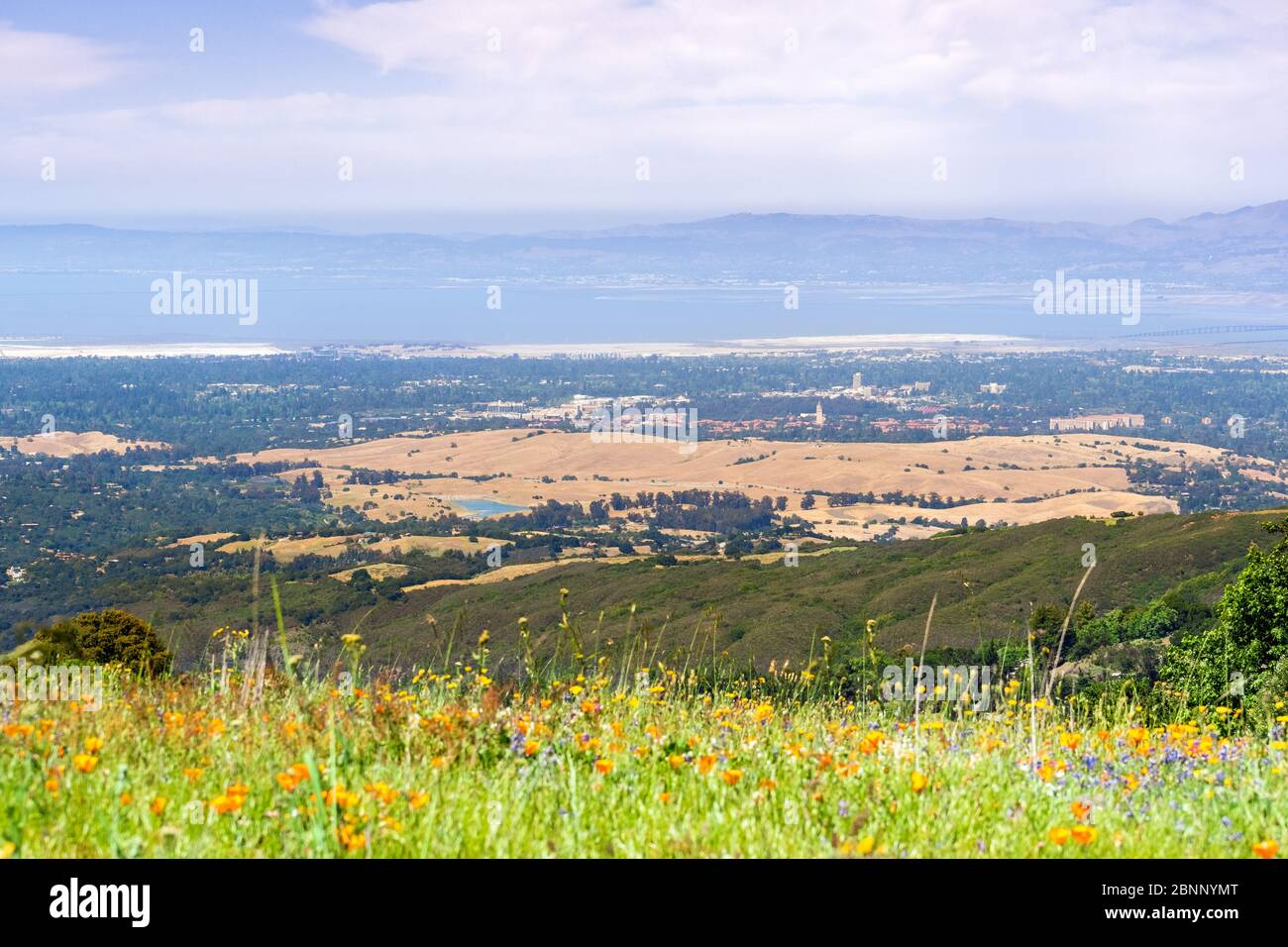 Luftaufnahme von Palo Alto, Stanford University, Redwood City und Menlo Park, Teil des Silicon Valley; Wildblumenfeld im Vordergrund sichtbar; San Fr. Stockfoto