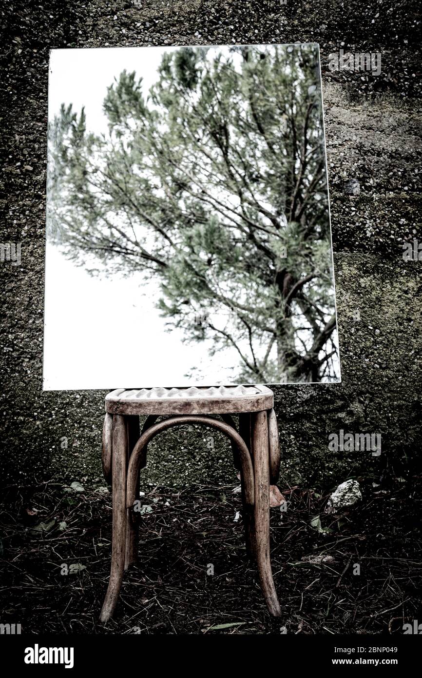 Poetisches Bild von Reflexionen in einem Garten und Wald mit einem Holzstuhl in einer Atmosphäre eines Traums Stockfoto