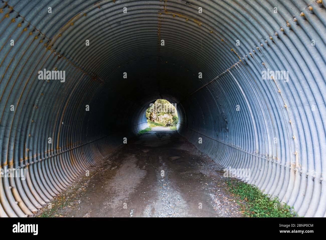 Schmaler Fußgängertunnel unter einer Straße in den Santa Cruz Bergen, San Francisco Bay Area, Kalifornien Stockfoto