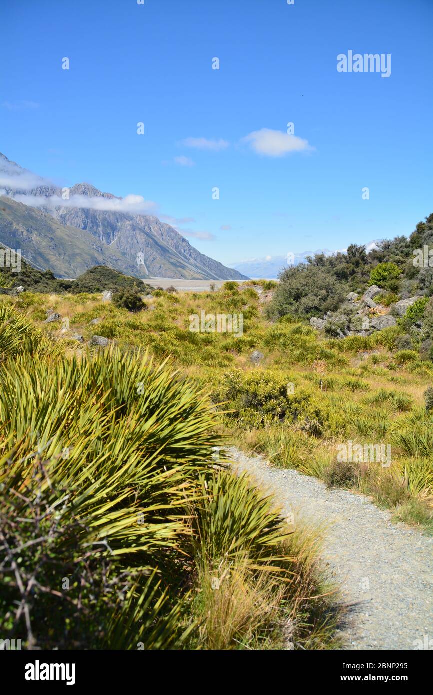 Strecke zum Mt.Cook Nationalpark, Neuseeland Stockfoto
