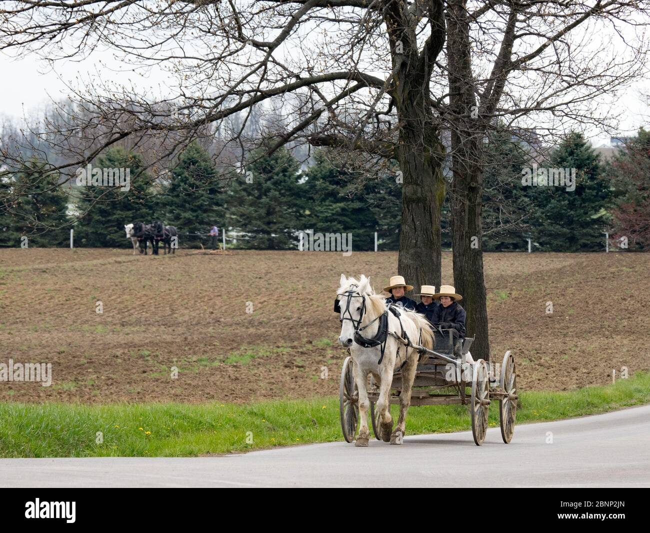 Die sanften Hügel und Amish Communtiy von Holmes County, Ohio USA Stockfoto