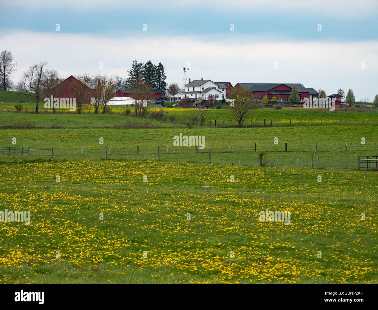 Die sanften Hügel und Amish Communtiy von Holmes County, Ohio USA Stockfoto