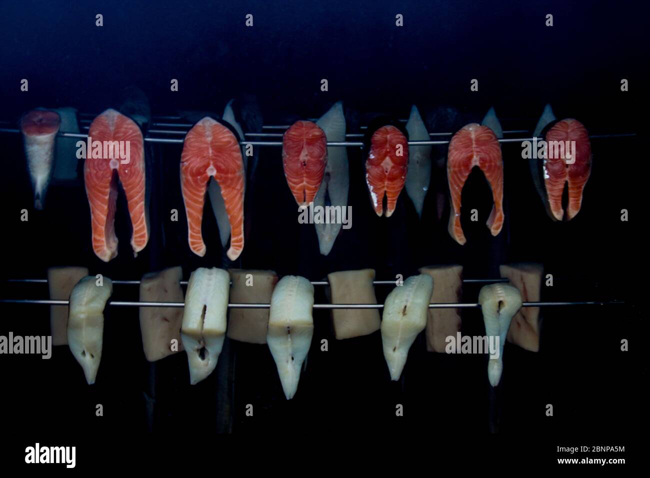 Fisch im Raucher, Lachs, Makrele, Baltische Fische. Stockfoto