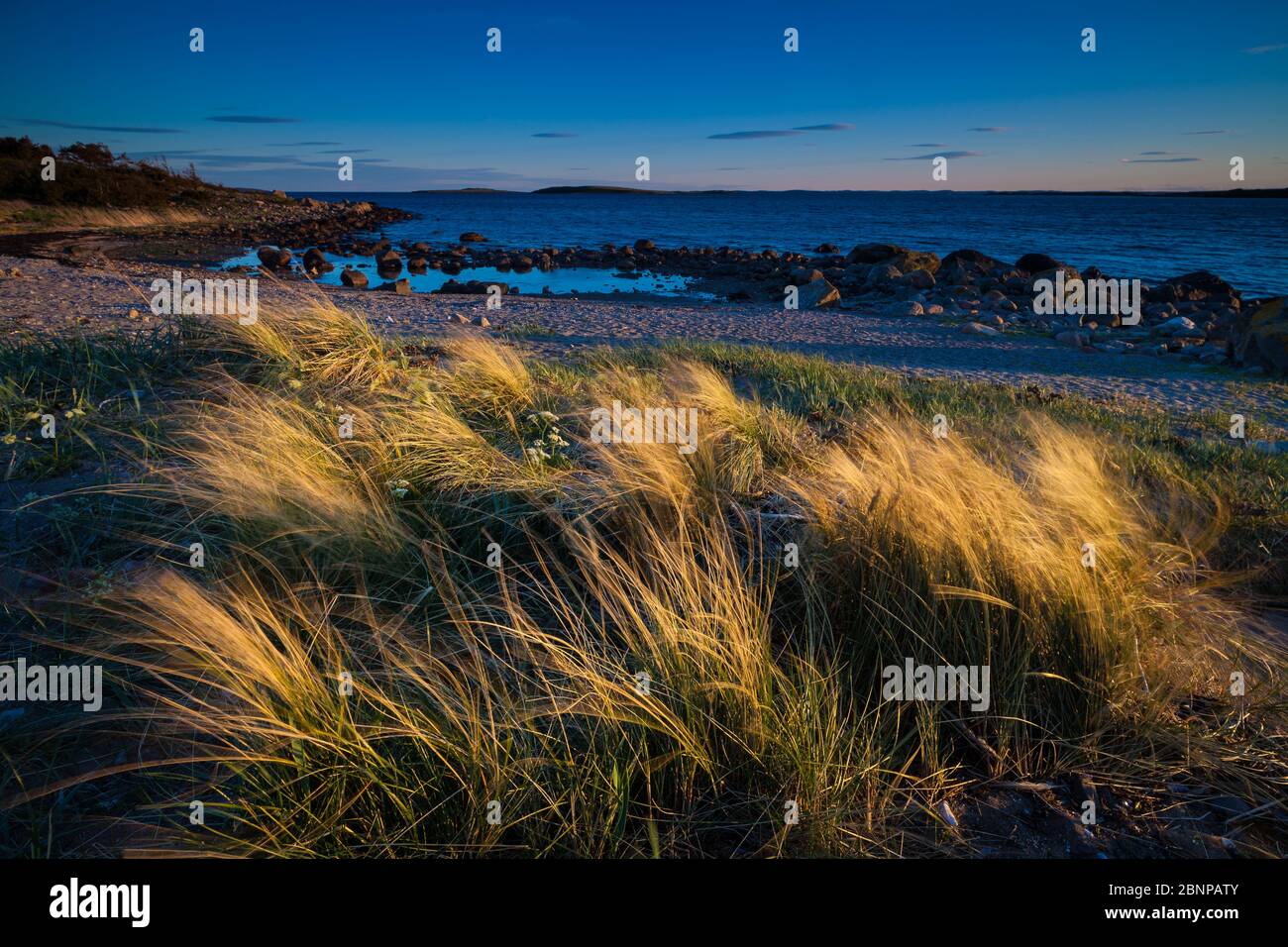 Schönes Abendlicht am Oslofjord am Larkollen in Rygge, Østfold, Norwegen Stockfoto