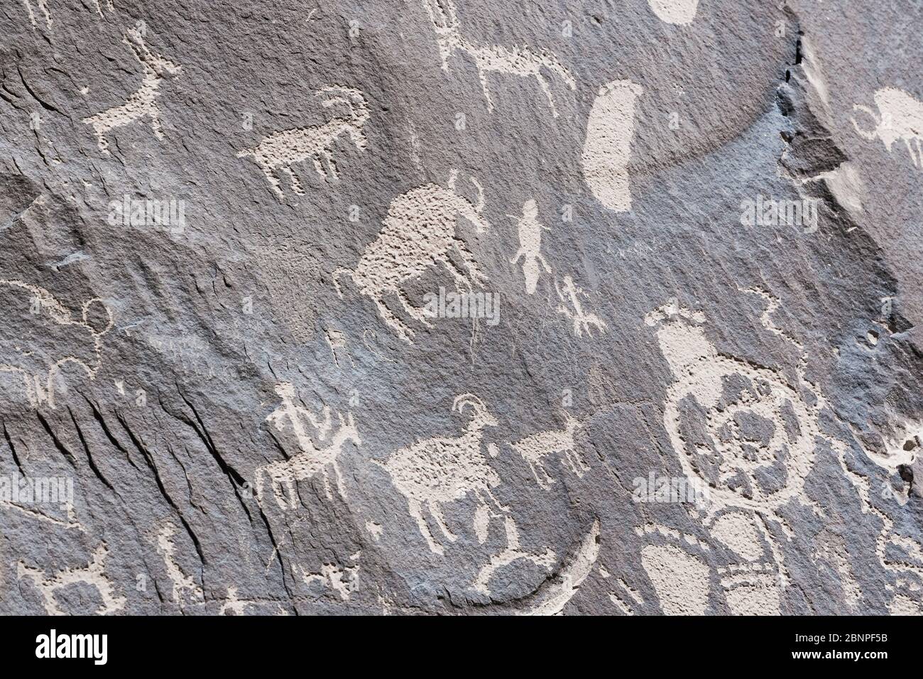 Indische Petroglyphen, Zeitung Rock State Park, Utah, USA Stockfoto