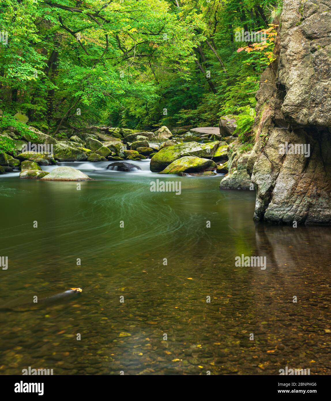 Deutschland, Sachsen-Anhalt, Harz, Herbst im Bodetal zwischen Thale und Treseburg Stockfoto