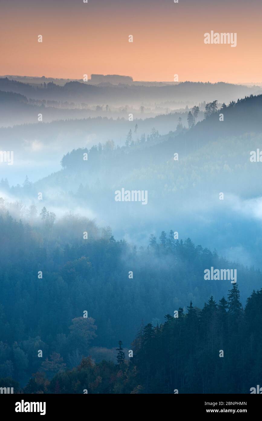 Hügelige Landschaft mit Nebel an der Hohenwartsalsperre bei Sonnenaufgang, Obere Saale, Naturpark Thüringer Schiefergebirge, Thüringen, Deutschland Stockfoto