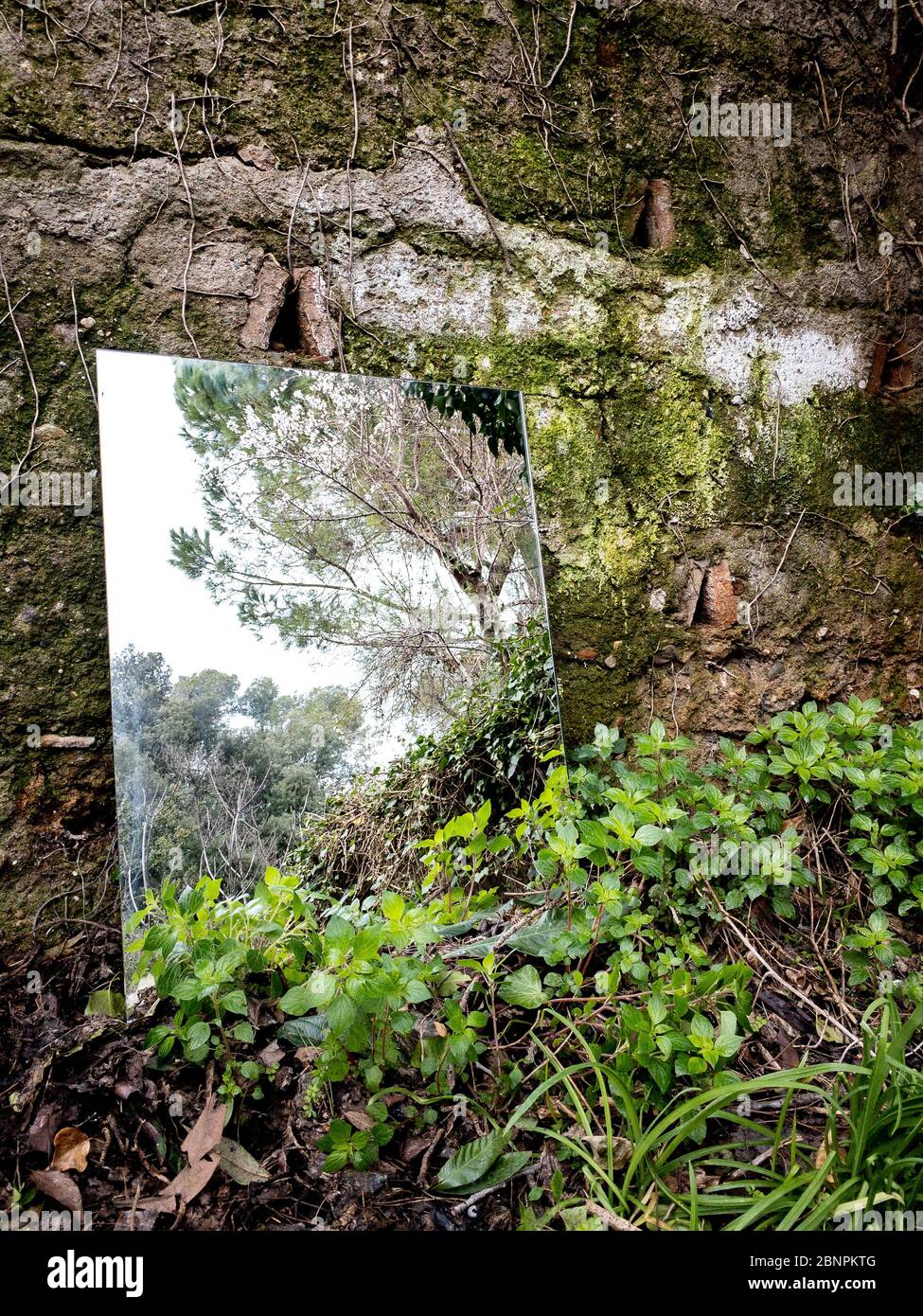 Spiegelbild in einem verlassenen Garten im Collserola-Wald in Barcelona Stockfoto
