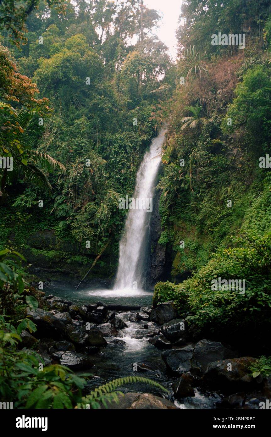 Wasserfall inmitten des tropischen Regenwaldes. Situgunung, Mount Gede Pangrango National Park, Sukabumi, Indonesien. Archivbild. Stockfoto