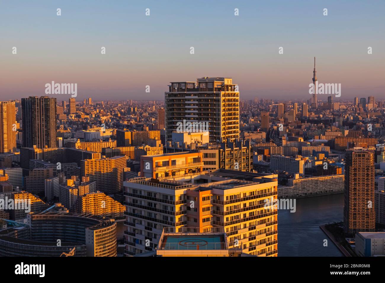 Japan, Honshu, Tokio, Toyosu Area Modern Skyline, Modern Apartments und Hochhäuser mit Skytree Tower in der Ferne Stockfoto