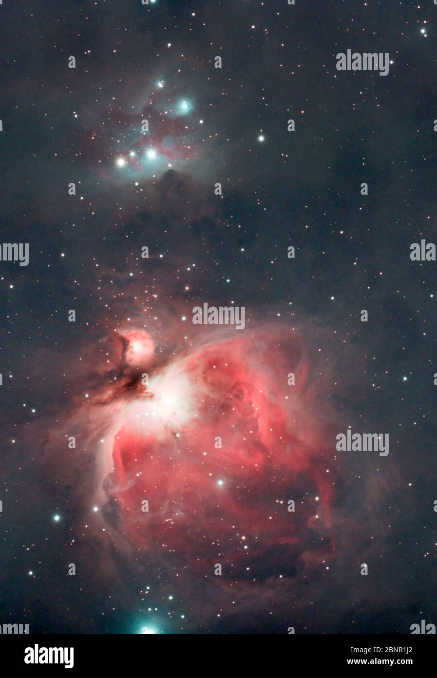 M42, NGC 1976, der große Nebel im Orion mit dem Laufmann-Nebel, SH2-279, oben, fotografiert aus London, Großbritannien Stockfoto