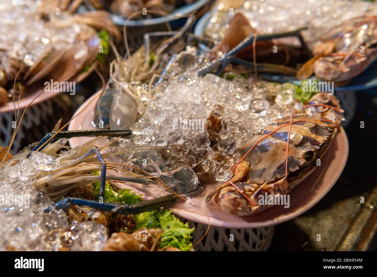 Frische Meeresfrüchte auf dem Nordthailand Nachtmarkt werden auf Eis gehalten Stockfoto