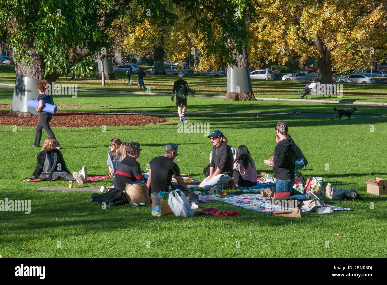Ein Picknick in den Treasury Gardens von Melbourne entsprach Victorias lockeren COVID-19-Richtlinien zur sozialen Distanzierung, wurde aber im August 2020 unter den Beschränkungen von Staat 4 verboten. Stockfoto