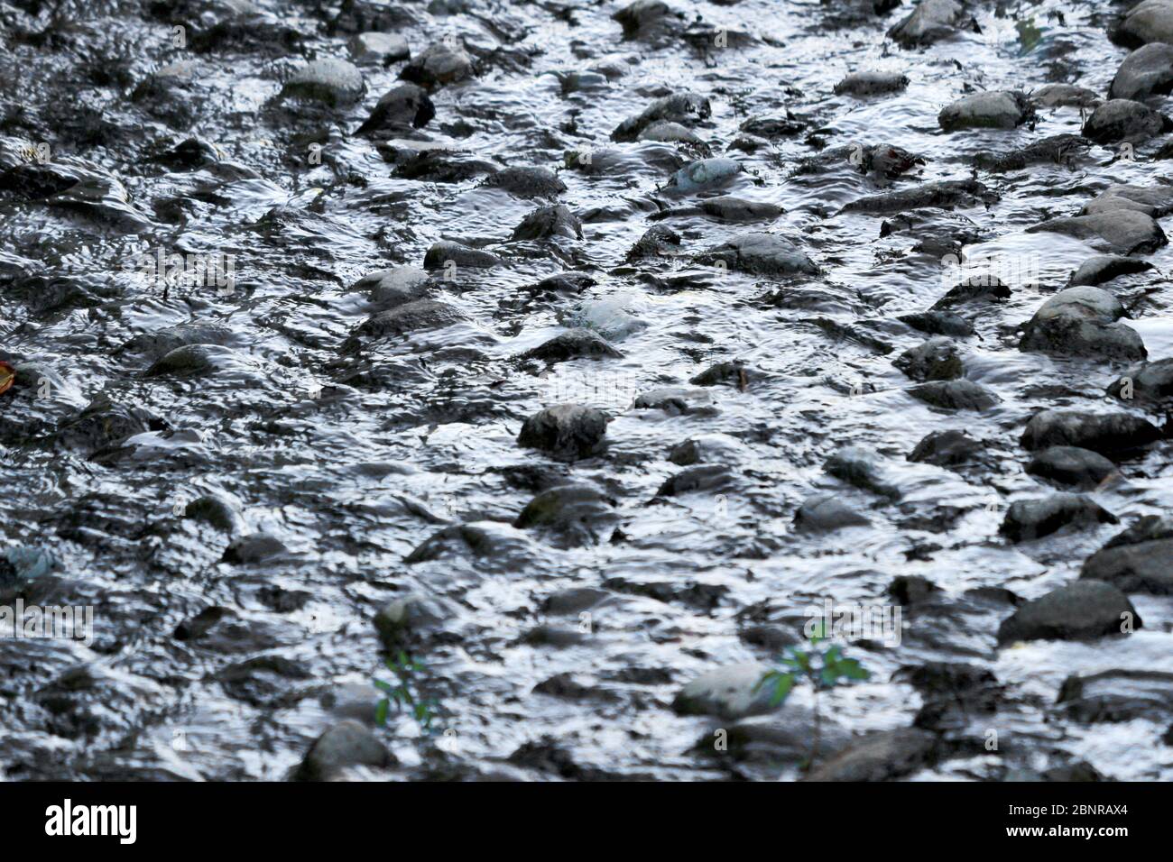 Wasser fließt durch einen Wasserweg mit runden Steinen auf dem Grund des Flusses gelegt Stockfoto