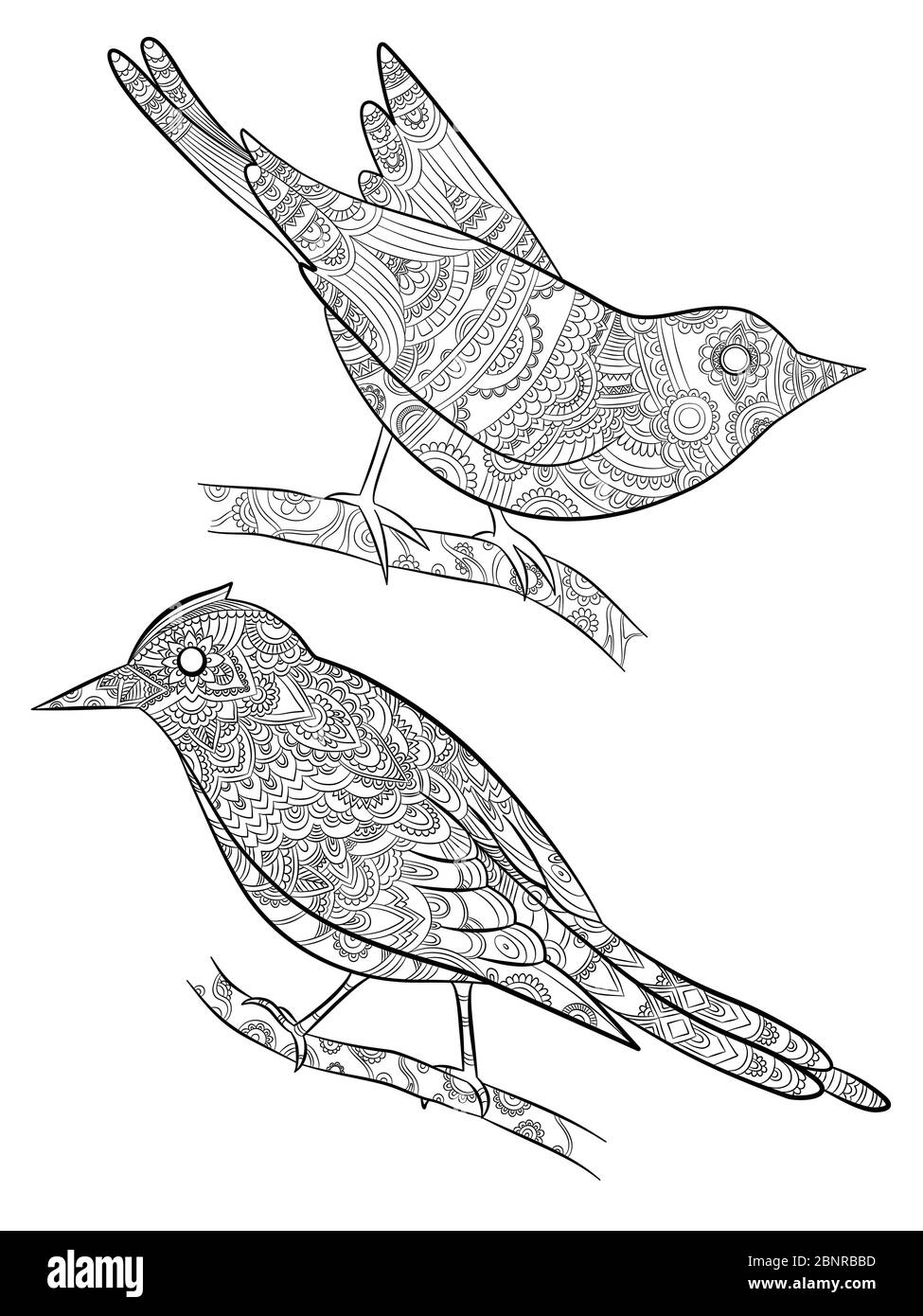 Malvorlagen für Erwachsene. Kleine wilde Vögel für mit Muster Vektor-Illustration auf Körper Vogel auf Ast sitzen Stock Vektor