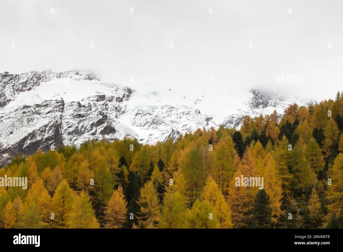 Schneebedeckte Berge und herbstliche Wälder im Obervinschgau Stockfoto
