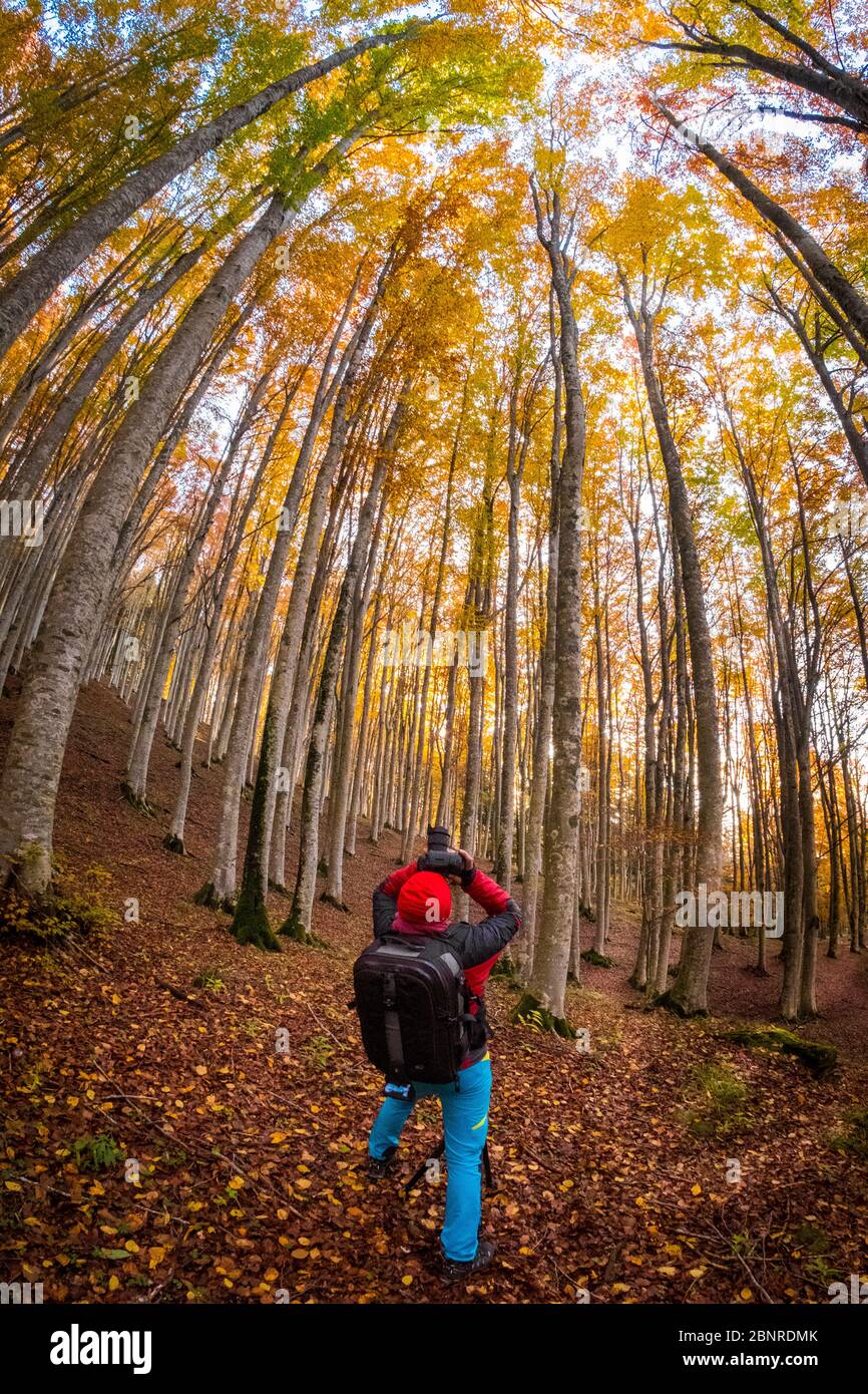 Nationalpark Foreste Casentinesi, Badia Prataglia, Toskana, Italien, Europa. Eine Person fotografiert im Wald. Stockfoto