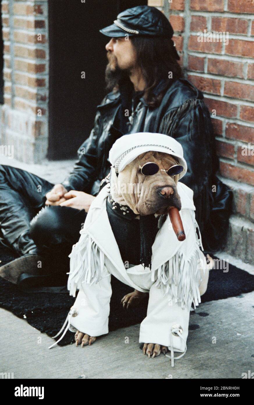 Ein Mann sitzt mit seinem Hund in den Straßen von New Orleans. Stockfoto