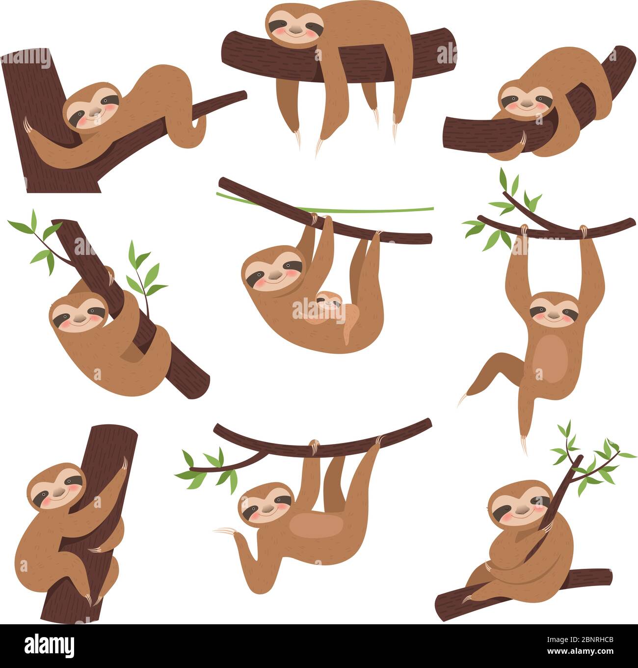 Faulheit auf Zweig. Nettes kleines Kind schläfrig Tier auf Zweig im Zoo spielen mit Baby hängenden Vektor-Figuren Karikatur Stock Vektor