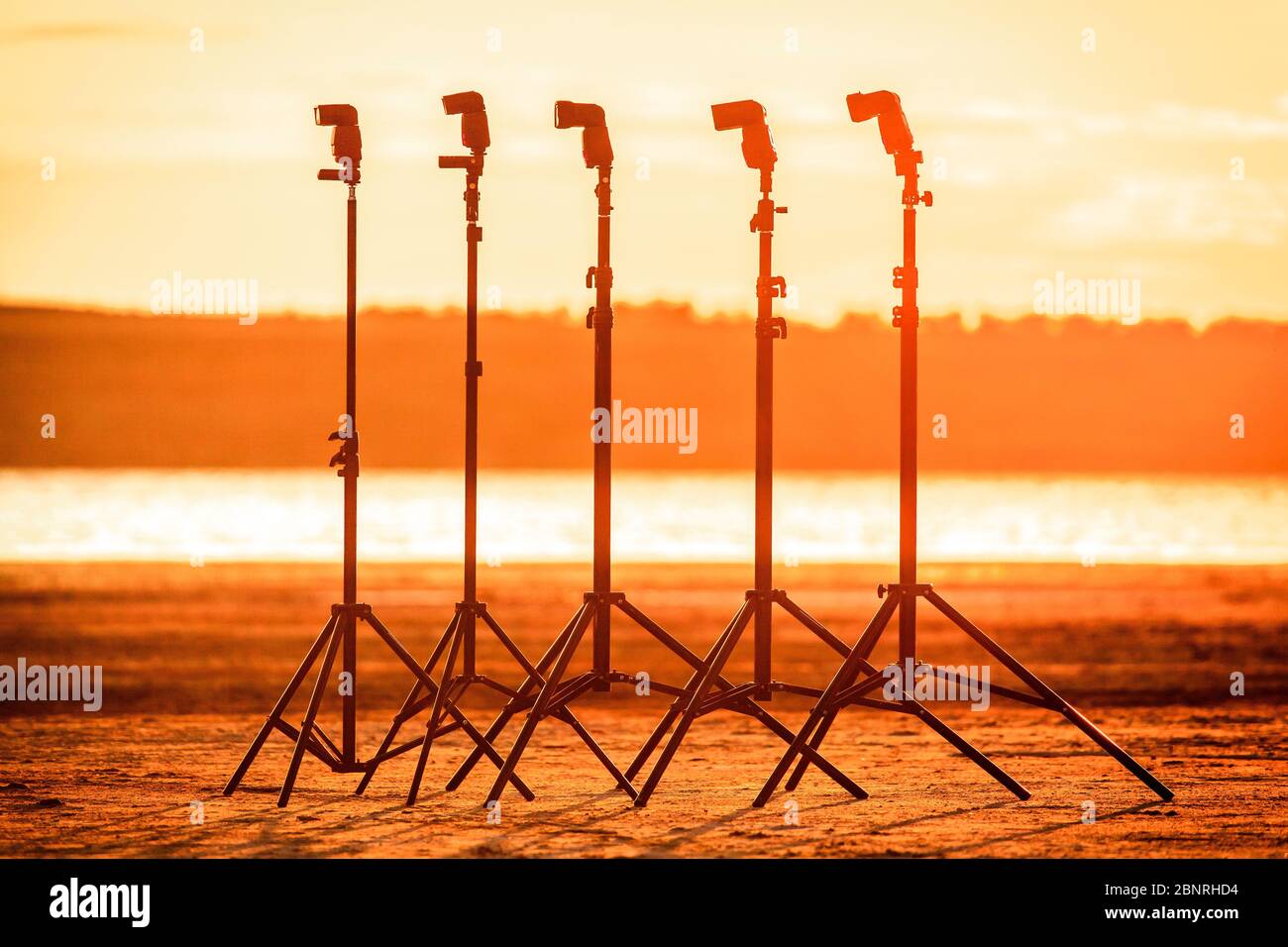 Fünf Speedlights stehen auf lightstands am Strand im Sonnenuntergang Stockfoto
