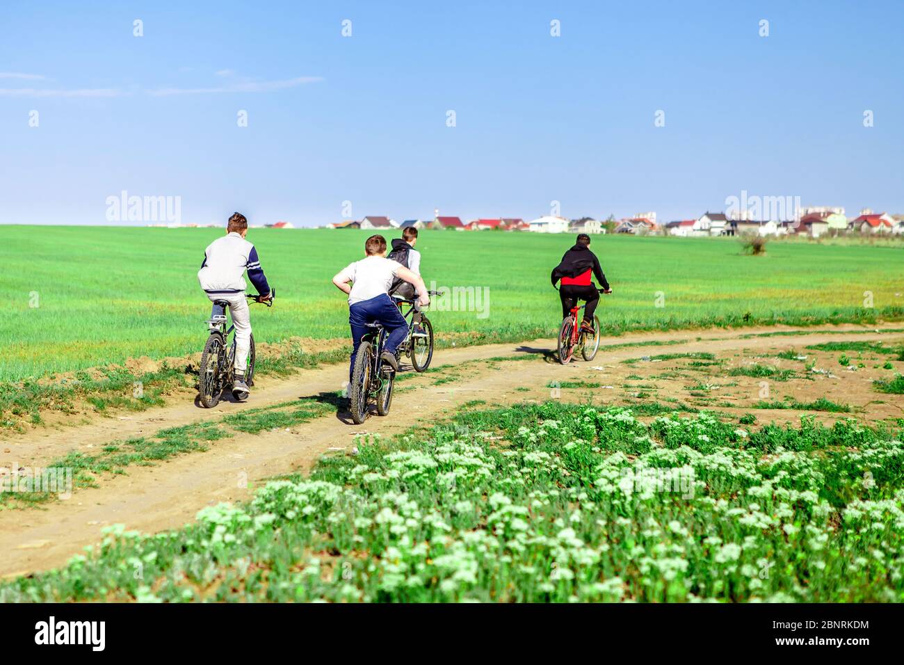 Vier Jungen fahren Fahrräder auf einem Feld entlang Stockfoto