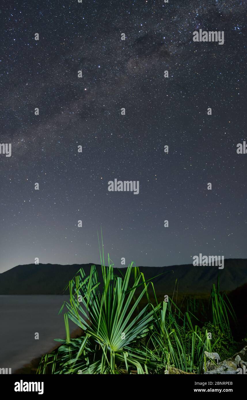 Milky Way landschaftlich reizvoll vom Rex Lookout in Cairns, im Norden von Queensland mit hell bemaltem Pandanus Palmenwedel und mondbeleuchteter Strandbucht. Stockfoto