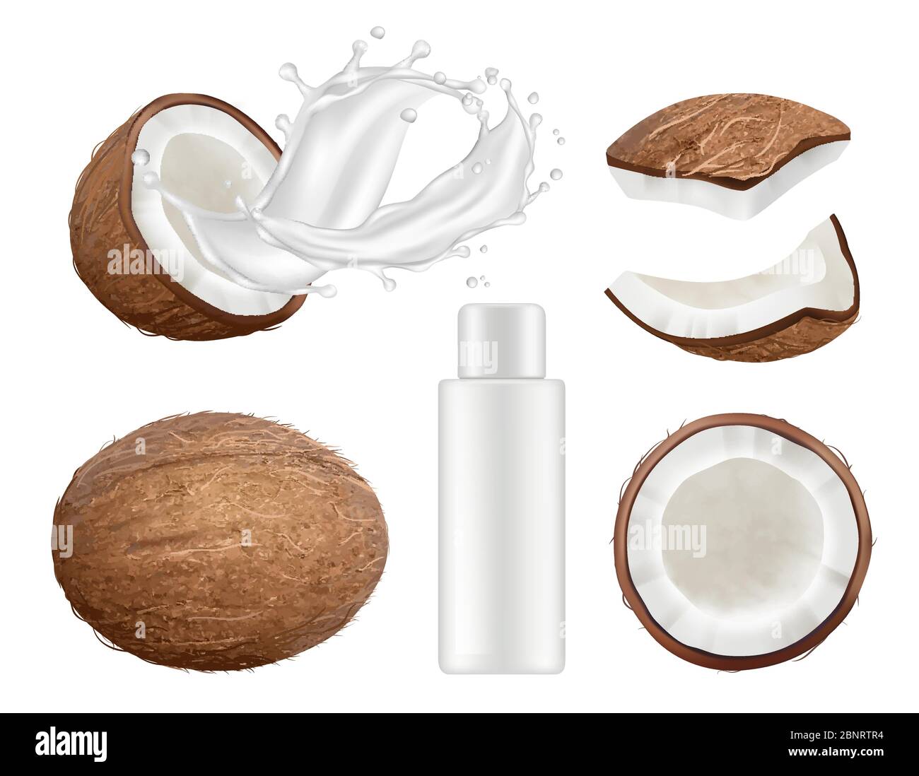 Kokosnuss-Kollektion. Frische tropische Kokosfrucht mit Milch Vektor Natur Kokosnüsse realistische Illustrationen Stock Vektor