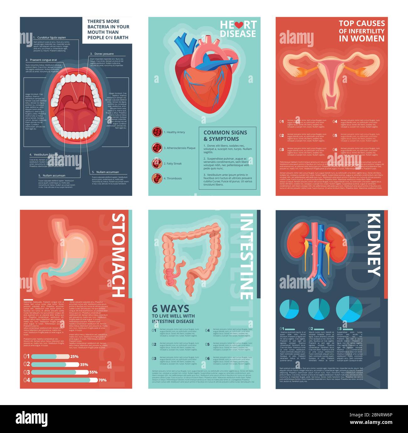 Infografik für medizinische Zwecke. Gesundheit Verdauungssysteme Gesundheitswesen menschliche Biologie Vektor-Katalog Vorlage Stock Vektor