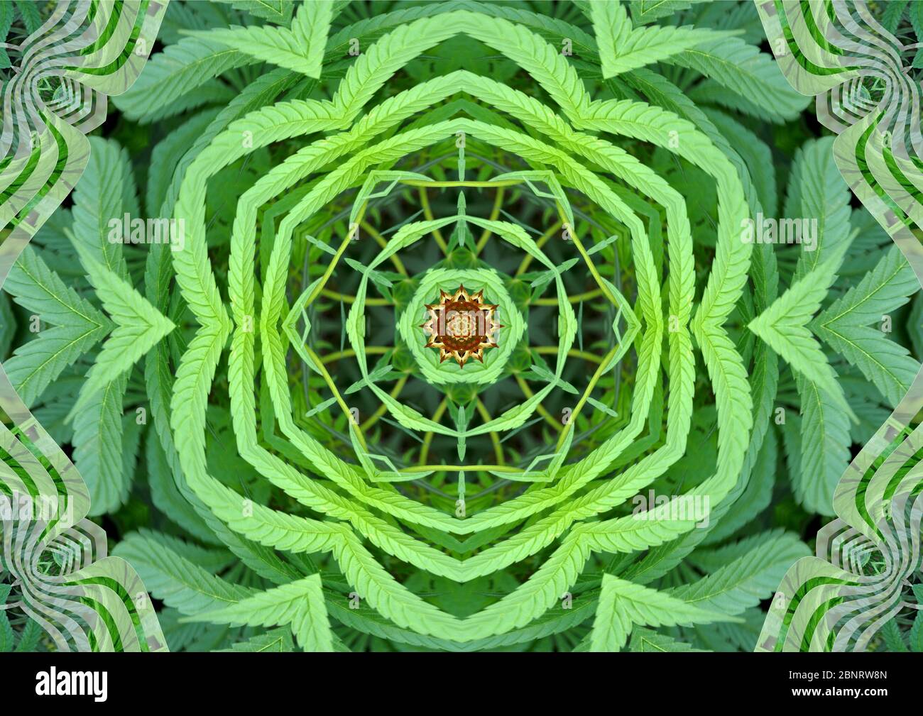 Marihuana Mandala - komplizierte Verflechtung Marihuana Blatt Muster. Geeignet für alle meditativen Bedürfnisse. Grün und Rot. Stockfoto
