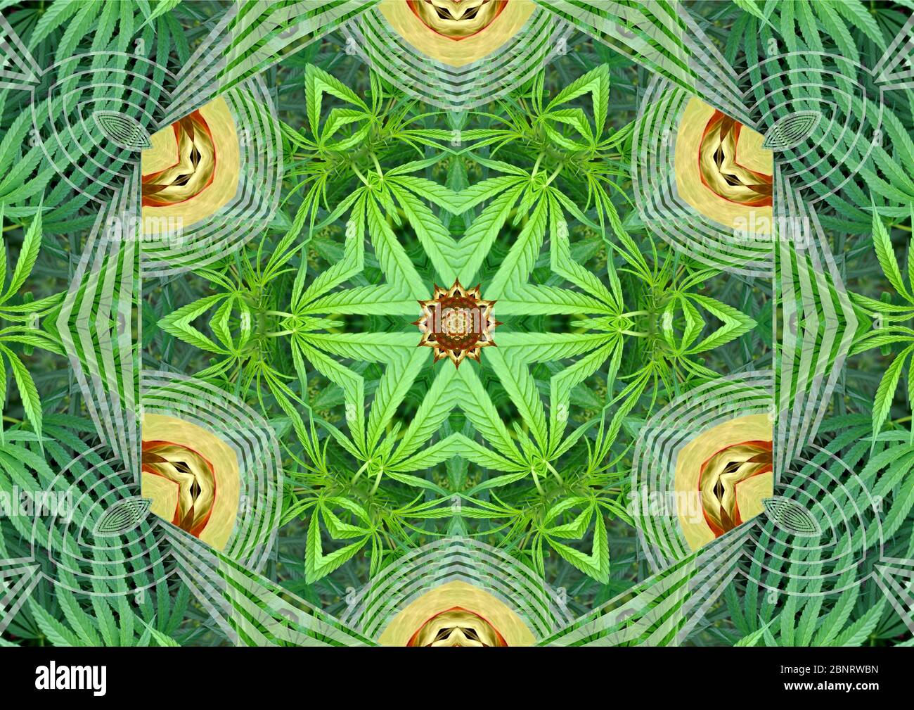 Innovatives Marihuana Mandala - ideales Poster-Design für die besondere Abendsoirée. Stockfoto