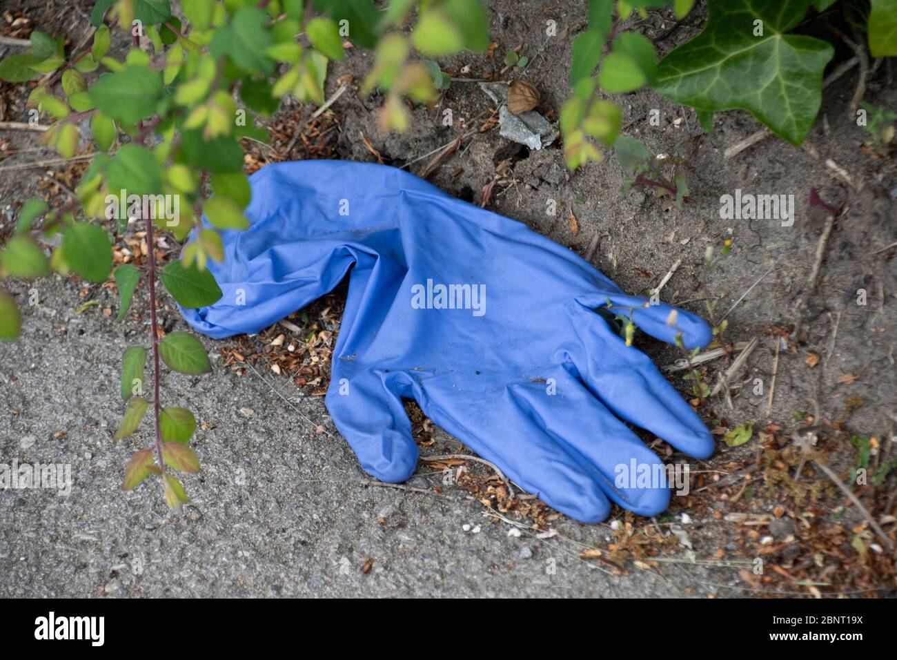 Sheffield UK – Mai 13 2020: Verlassene blaue Gummihandschuhe auf dem Boden weggeworfen, wird Schutzausrüstung während des Coronavirus Covid-19 pandem zu Abfall Stockfoto