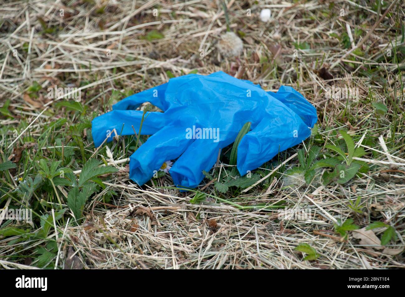 Sheffield UK – Mai 13 2020: Verlassene blaue Gummihandschuhe auf dem Boden weggeworfen, wird Schutzausrüstung während des Coronavirus Covid-19 pandem zu Abfall Stockfoto