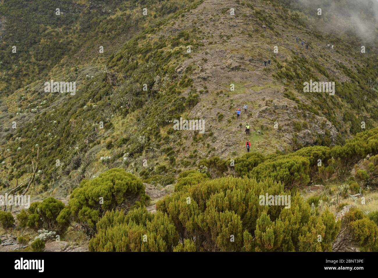 Luftaufnahme von Wanderern gegen Berg, Aberdare Ranges, Kenia Stockfoto