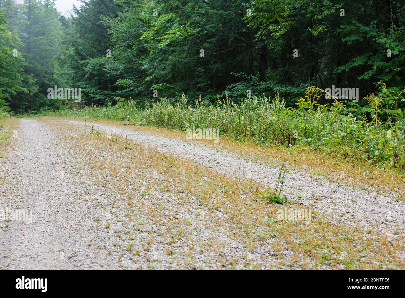 Opernstrasse Stockfotos Und Bilder Kaufen Alamy