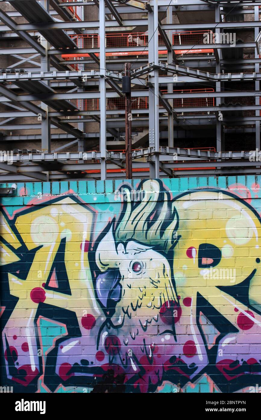 Urban Art Liverpool - Cockatoo Graffiti vor dem Hintergrund von Stahlträgern eines neuen Gebäudes Stockfoto