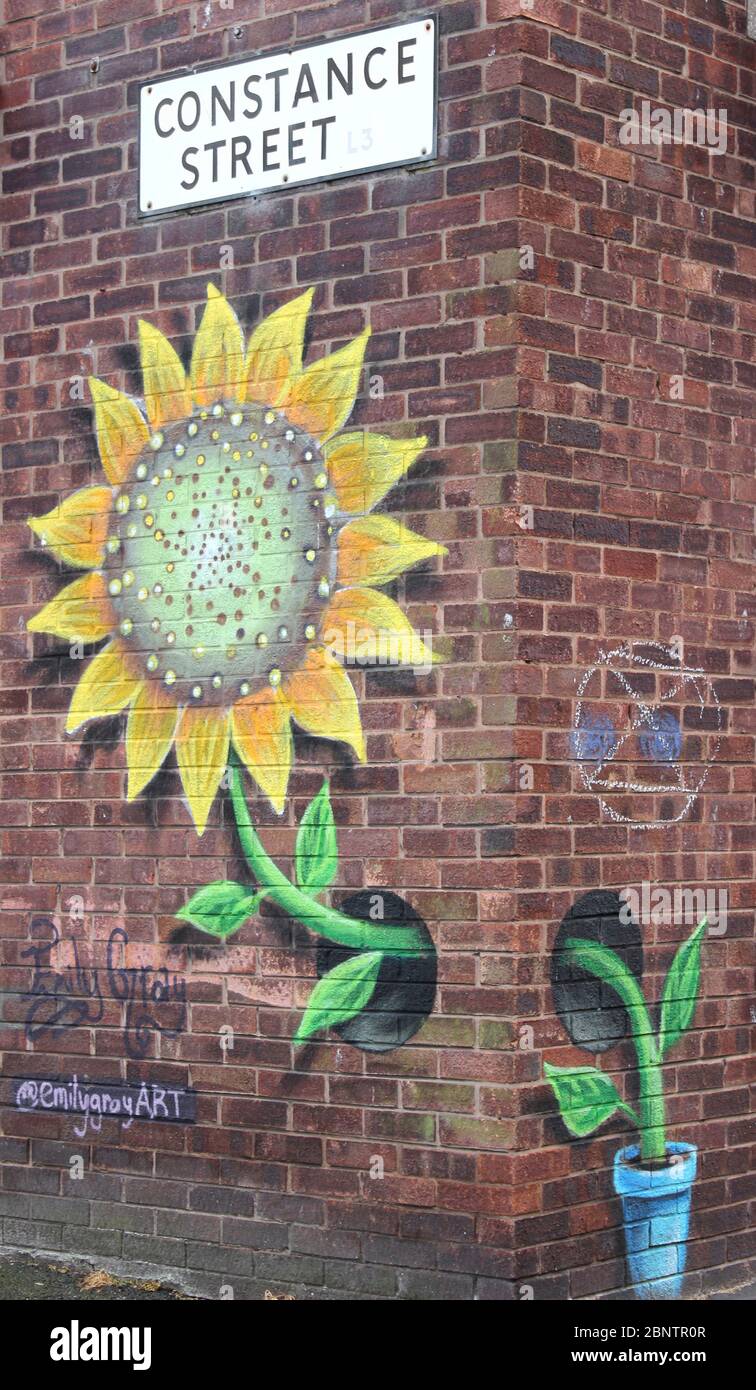 Sunflower Graffiti - Fabric District Liverpool Stockfoto