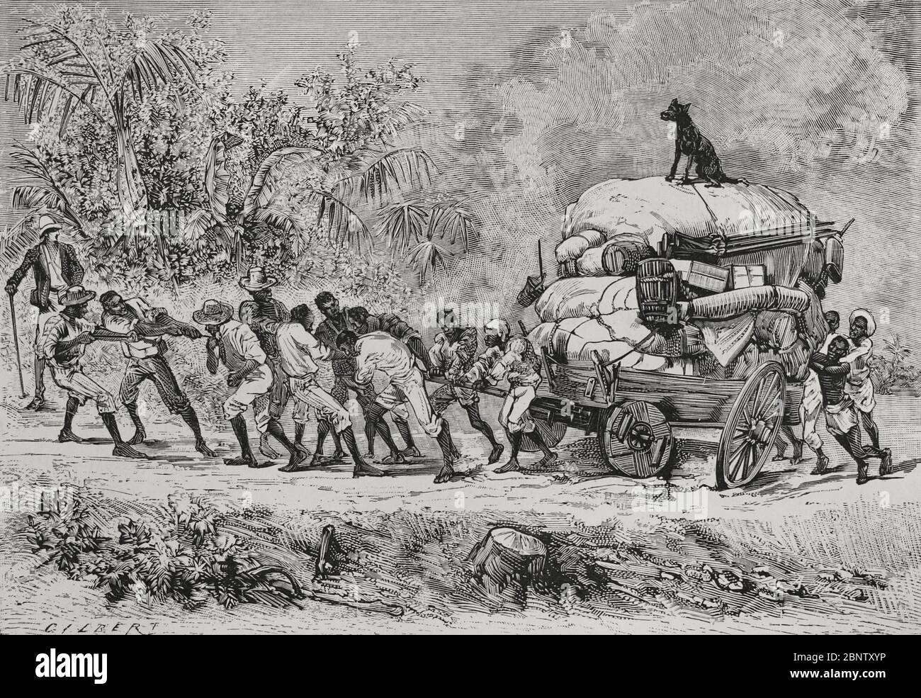 Historia De Africa Siglo Xix Transporte De Mercancías Por Las Carreteras Del Congo Grabado 5038